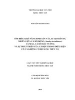 tìm hiểu khả năng sinh sản và lai tạo bán tự nhiên giữa cá rô đồng (anabas testudineus) cà mau, cá rô đầu vuông và sự phát triển của cá bột trong điều kiện có và không có bổ sung thức ăn