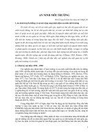 BÀI GIẢNG AN NINH MÔI TRƯỜNG