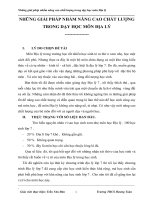 SKKN  Những giải pháp nâng cao chất lượng dạy học môn đia lý THCS