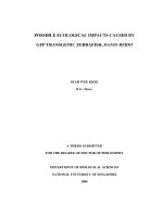 Possible ecological impacts caused by GFP transgenic zebrafish, danio rerio 