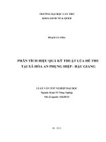 phân tích hiệu quả kỹ thuật lúa hè thu tại xã hòa an phụng hiệp– hậu giang