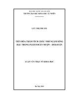 Tiến hóa trầm tích châu thổ ngầm sông hậu trong pleistocen muộn   holocen 