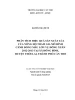 phân tích hiệu quả sản xuất lúa của nông hộ tham gia mô hình cánh đồng mẫu lớn vụ đông xuân 2012 2013 tại xã đông bình, huyện thới lai, thành phố cần thơ