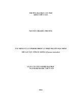 tác động của cypermethrin và nhiệt độ lên đặc điểm mô gan tụy tôm sú giống (penaeus monodon)