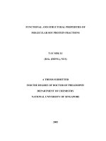 Functional and structural properties of molecular soy protein fractions 