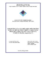 ảnh hưởng của các điều kiện môi trường nuôi cấy đến sự phát triển và khả năng phân hủy lông gia súc, gia cầm của vi khuẩn bacillus megaterium v1