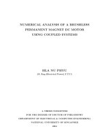 Numerical analysis of a brushless permanent magnet DC motor using coupled systems