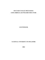 Document image processing using irregular pyramid structure 