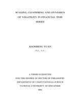 Scaling, clustering and dynamics of volatility in financial time series 