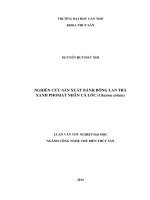 nghiên cứu sản xuất bánh bông lan trà xanh phomat nhân cá lóc (channa striata)