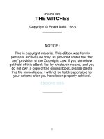 The witches by roald dahl
