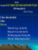 tiết 38  hồi hương ngẫu thư