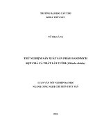 thử nghiệm sản xuất sản phẩm sandwich kẹp chả cá thát lát cườm (chitala chitala)