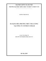 Đa dạng hóa phương thức trả lương tại công ty cổ phần COMA 18 