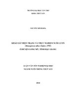 khảo sát hiện trạng và thực nghiệm nuôi lươn (monopterus albus zuiew, 1793) ở huyện long mỹ, tỉnh hậu giang