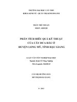 phân tích hiêu quả kỹ thuật của cây dưa hấu ở huyện long mỹ, tỉnh hậu giang