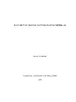 Rejection of organic matters by RO NF membrane 