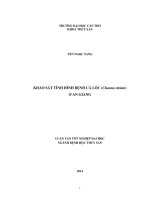 khảo sát tình hình bệnh cá lóc (channa striata) ở an giang