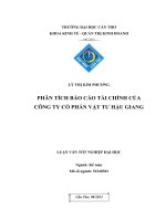 phân tích báo cáo tài chính của công ty cổ phần vật tư hậu giang