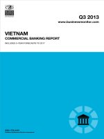 Vietnam commercial banking report   q3 2013 