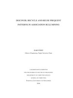 Discover, recycle and reuse frequent patterns in association rule mining 