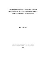 On the performance and capacity of space time block coded multicarrier CDMA communication systems 