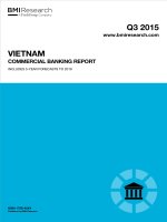 Vietnam commercial banking report   q3 2015 