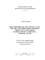phân tích hiệu quả kỹ thuật và các chỉ tiêu tài chính trong mô hình trồng cây cam sành ở xã đông phước và phú hữu, tỉnh hậu giang