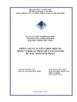 phân lập và tuyển chọn một số dõng vi khuẩn phân hủy cellulose từ rác thải sinh hoạt