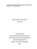 Conversion of ergosterol in edible mushrooms to vitamin d2 by UV irradiation 