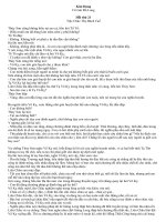 Co gai do long hoi 21  29