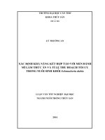 xác định khả năng kết hợp tảo với men bánh mì làm thức ăn và tỉ lệ thu hoạch tối ưu trong nuôi sinh khối schmackeria dubia