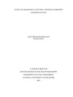 Effect of hard impact on steel concrete composite sandwich plates 