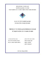 trích ly và tinh sạch endoglucanase từ dịch nuôi cấy vi khuẩn dd9