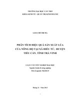 phân tích hiệu quả sản xuất lúa của nông hộ tại xã hiếu tử, huyện tiểu cần, tỉnh trà vinh