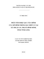 phân tích hiệu quả tài chính của mô hình trồng rau diếp cá tại xã thuận an, thị xã bình minh, tỉnh vĩnh long