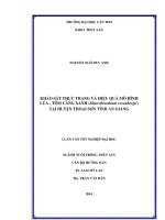 khảo sát thực trạng và hiệu quả mô hình lúa   tôm càng xanh (macrobrachium rosenbergii) tại huyện thoại sơn tỉnh an giang