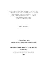 Formation of advanced gate stacks and their application to nano structure devices 