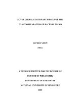 Novel chiral stationary phase for the enantioseparation of racemic drugs 1 