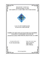 NGHIÊN cứu khả năng sản xuất polysaccharides ngoại bào và sinh nấm linh chi ganoderma lucidum theo phương pháp nuối cấy chìm