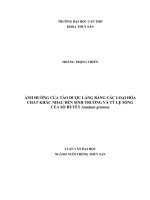 ảnh hưởng của tảo được lắng bằng các loại hóa chất khác nhau đến sinh trưởng và tỷ lệ sống của sò huyết anadara granosa