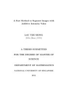 A fast method to segment images with additive intensity value