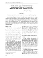 Nghiên cứu sử dụng chế phẩm vi sinh vật nhằm nâng cao năng suất, chất lượng và hạn chế bệnh héo rũ, thối quả cho cây ớt