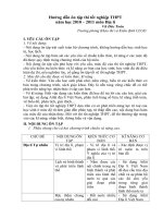 Hướng dẫn ôn tập thi tốt nghiệp THPT môn Địa lí (2010   2011)