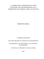 A markovian approach to the analysis and optimization of a portfolio of credit card accounts