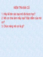 Giáo án sinh học 8 thực hành quan sát tế bào và mô  (1) 