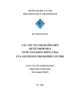 các yếu tố ảnh hưởng đến quyết định mua nước giải khát đóng chai của người dân thành phố cần thơ