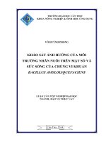 khảo sát ảnh hưởng của môi trường nhân nuôi trên mật số và sức sống của chủng vi khuẩn bacillus amyloliquefaciens