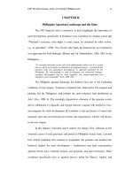 The KMP (peasant movement of the philippines)  movement generation, activity, and continuity in philippine society 23 