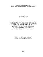 khảo sát quá trình thủy phân protein phụ phẩm cá tra (pangasius hypophthalmus) bằng enzyme neutrase